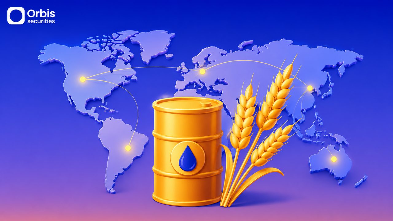 Understanding Commodity Volatility